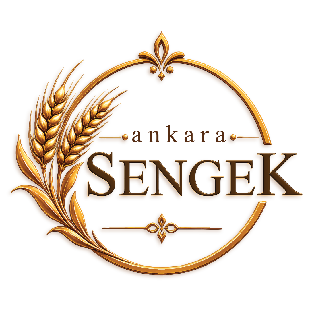 Ankara Sengek logo
